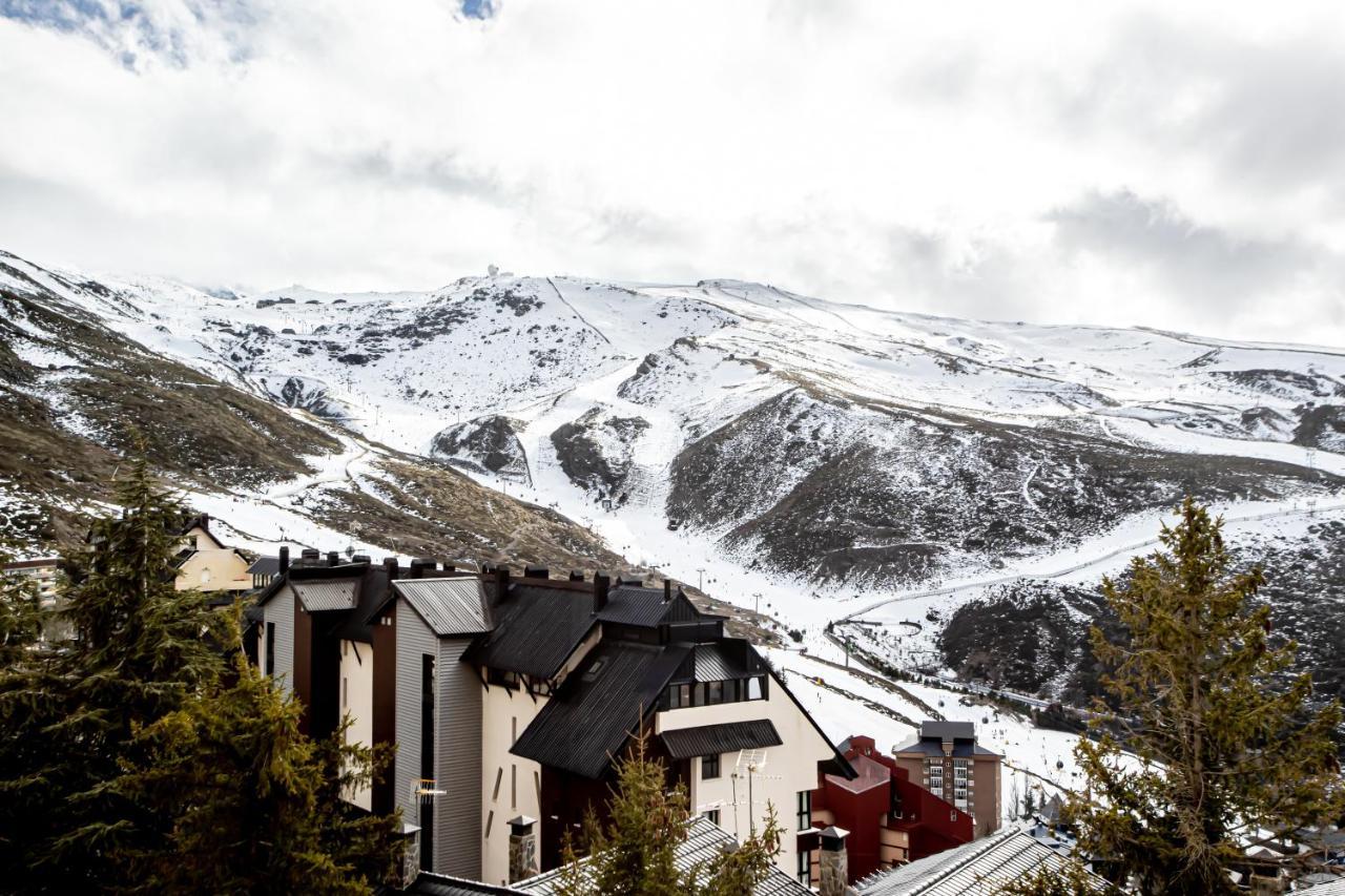 Estudio Queen Sierra Nevada Luaran gambar